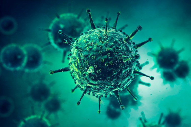 Infekcijas slimības